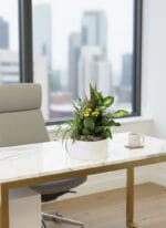 Minimalist Ceramic Plant - Image 2