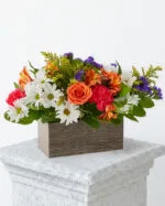 Mixed Bloom Box