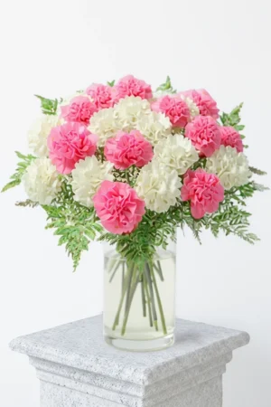 Mixed Color Carnations Bouquet In a Vase