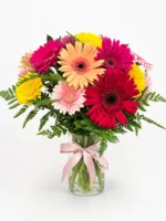 Mixed Color Gerbera Daisies