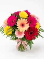 Mixed Color Gerbera Daisies