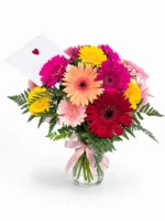 Mixed Color Gerbera Daisies