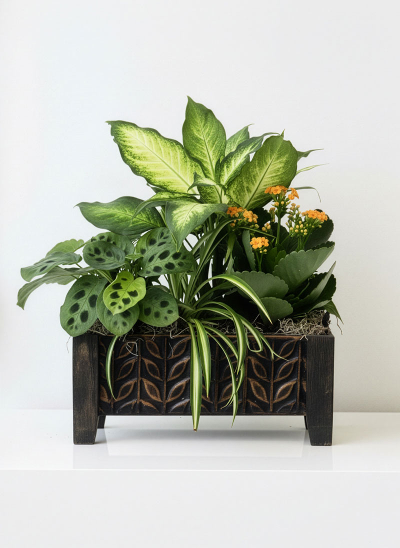 Office Buddy Wooden Plant