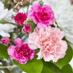 Serene Whispers Vase Arrangment - Image 5