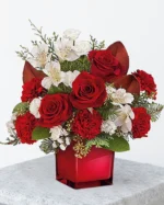 Red and White Elegant Cube