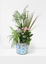 Rustic Vintage Plant