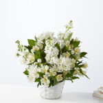 Everlasting Care Basket - Image 2