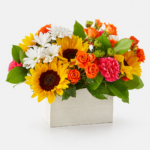 Sun kissed Blossoms Box Bouquet