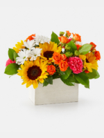 Sun kissed Blossoms Box Bouquet