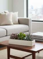 Tranquil Haven Garden Succulents - Image 2