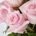 Timeless Elegance Luxury Vase - Image 3