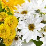 Nature’s Embrace Bouquet - Image 2