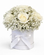 White Rose with Baby’s Breath Flower Box