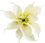 White Calla Lily Bridal Bouquet - Image 3
