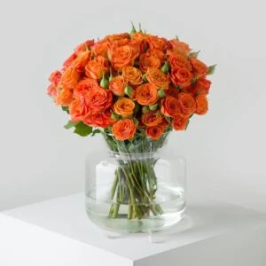 orange spray roses in a vase