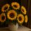 sunflower arrangment in a vase