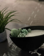 Serenity Succulent Candle
