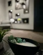 Serenity Succulent Candle