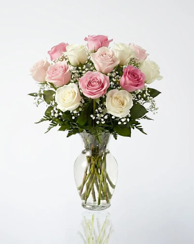 12 Pink and White Roses in a Vase