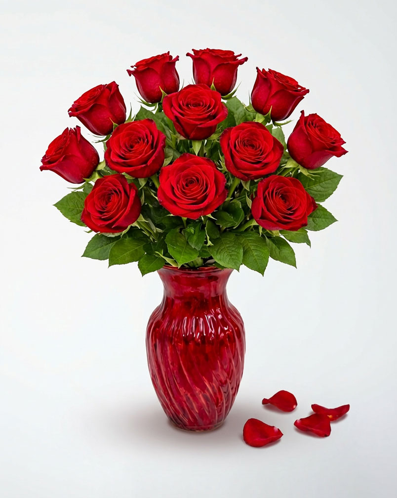 12 Red Roses in a Red Vase