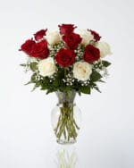12 Red and White Roses in a Vase