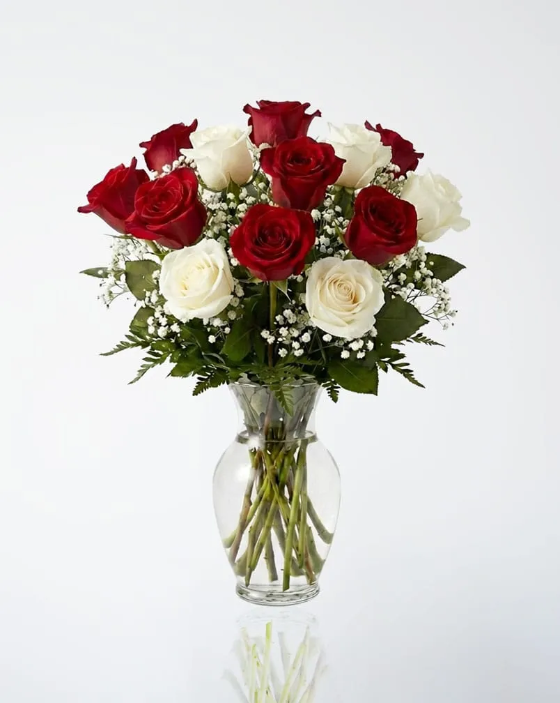 12 Red and White Roses in a Vase