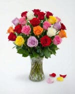 24 Mixed Color Roses in a Vase