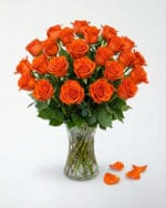 24 Orange Roses in a Vase