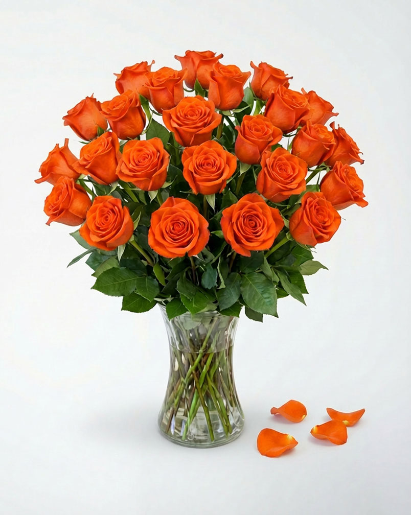 24 Orange Roses in a Vase