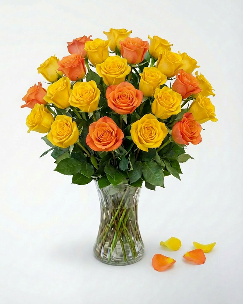 24 Orange and Yellow Roses in a Vase