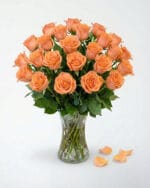 24 Peach Roses in a Vase