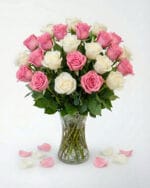 24 Pink and White Roses in a Vase
