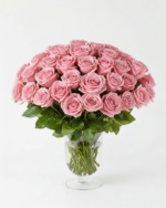 50 Pink Roses in Vase