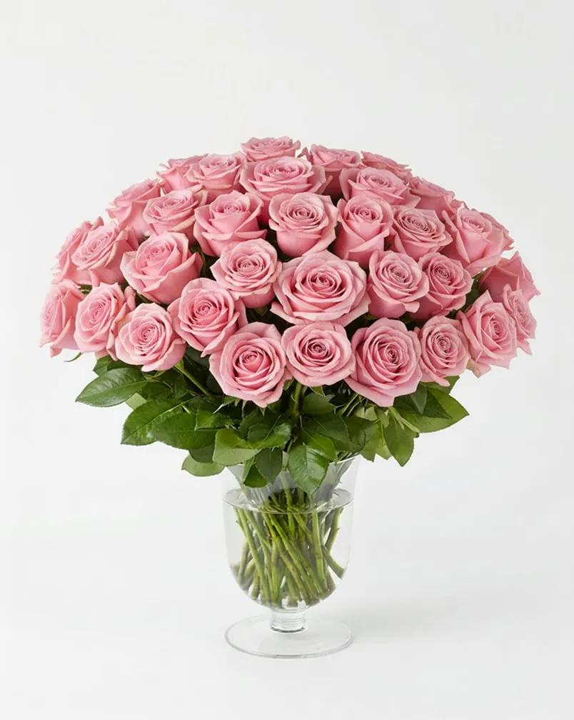 50 Pink Roses in Vase