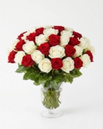 50 Red and White Roses in Vase