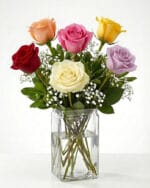 6 Mixed Color Roses in a Vase