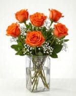 6 Orange Roses in a Vase
