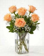 6 Peach Roses in a Vase