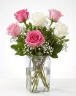 6 Pink and White Roses in a Vase