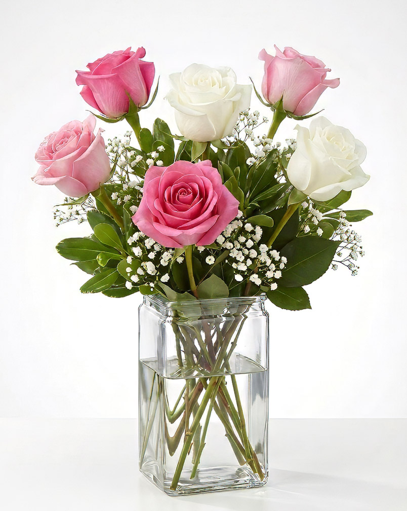 6 Pink and White Roses in a Vase