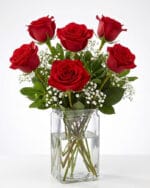 6 Red Roses in a Vase