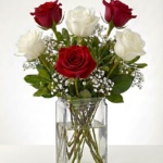 6 Red and White Roses in a Vase
