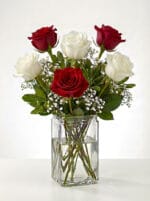 6 Red and White Roses in a Vase