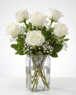 6 White Roses in a Vase