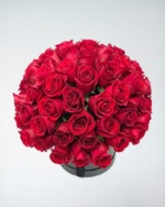 Prestige Red Rose Box