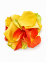 Rose Petal - Image 7