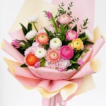 Royal Ranunculus Blush