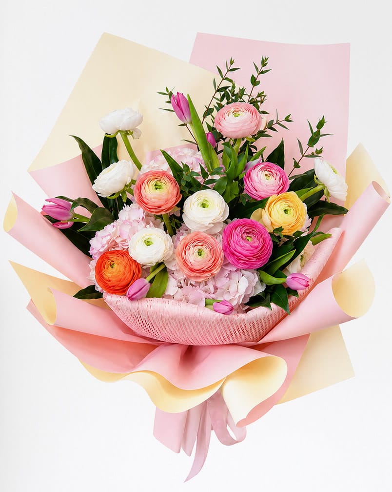Royal Ranunculus Blush