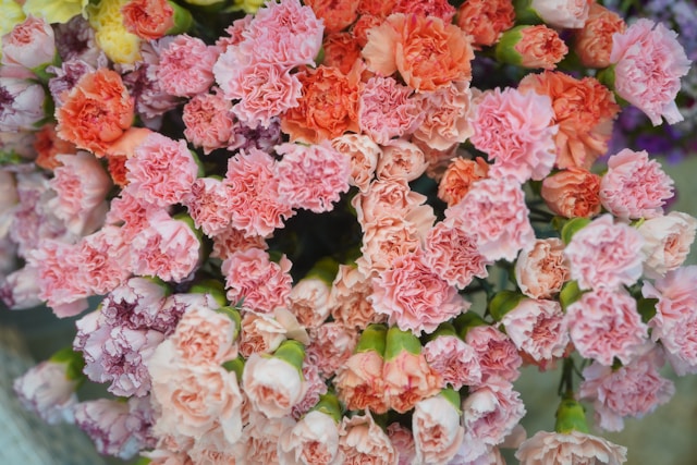 Flower delivery in Vaughan for Father’s Day gifts