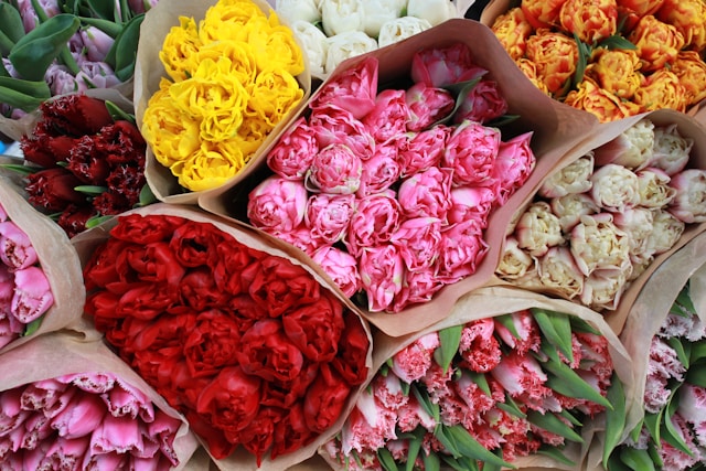 Florist Choice Designer choice flower delivery in vaughan toronto gta